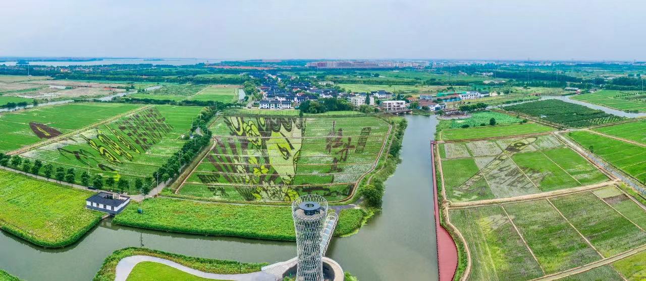 尚明甸村乡村科创下好振兴妙手棋