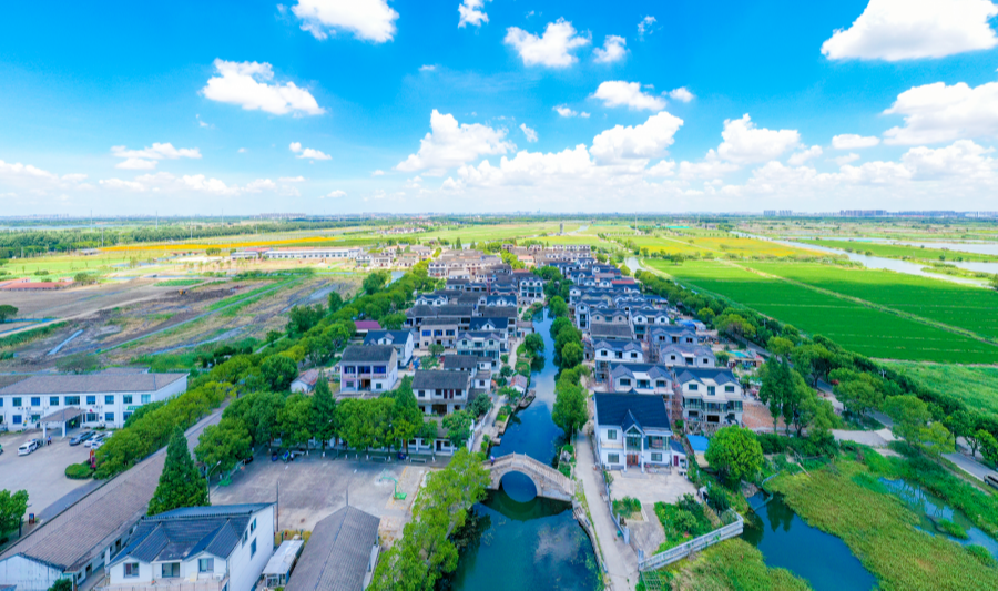 这两个村获评美丽乡村张浦镇持续扮靓乡村颜值