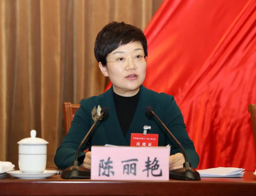 市委副书记,代市长陈丽艳作经济工作报告:确保经济实现量的合理增长质