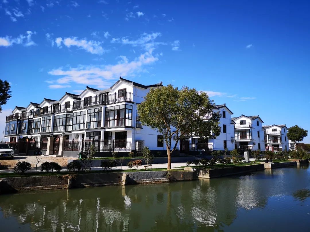 周市镇高端网站建设_(周市镇高端网站建设项目)