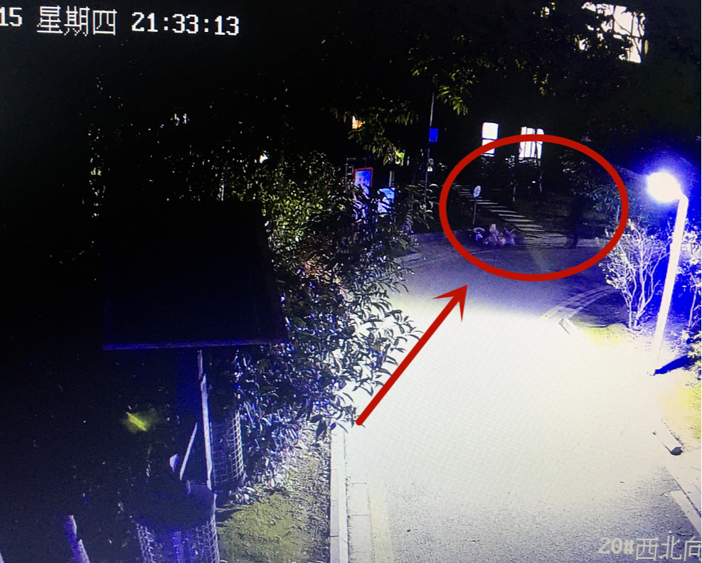 这一幕被监控记录了下来