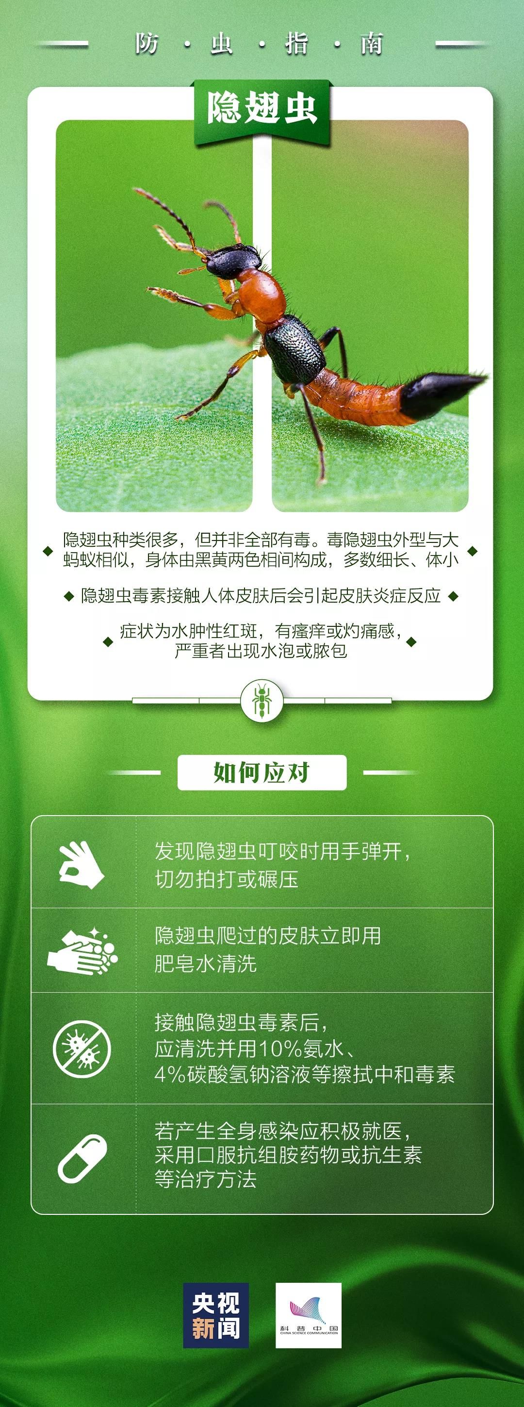 当心这些小东西