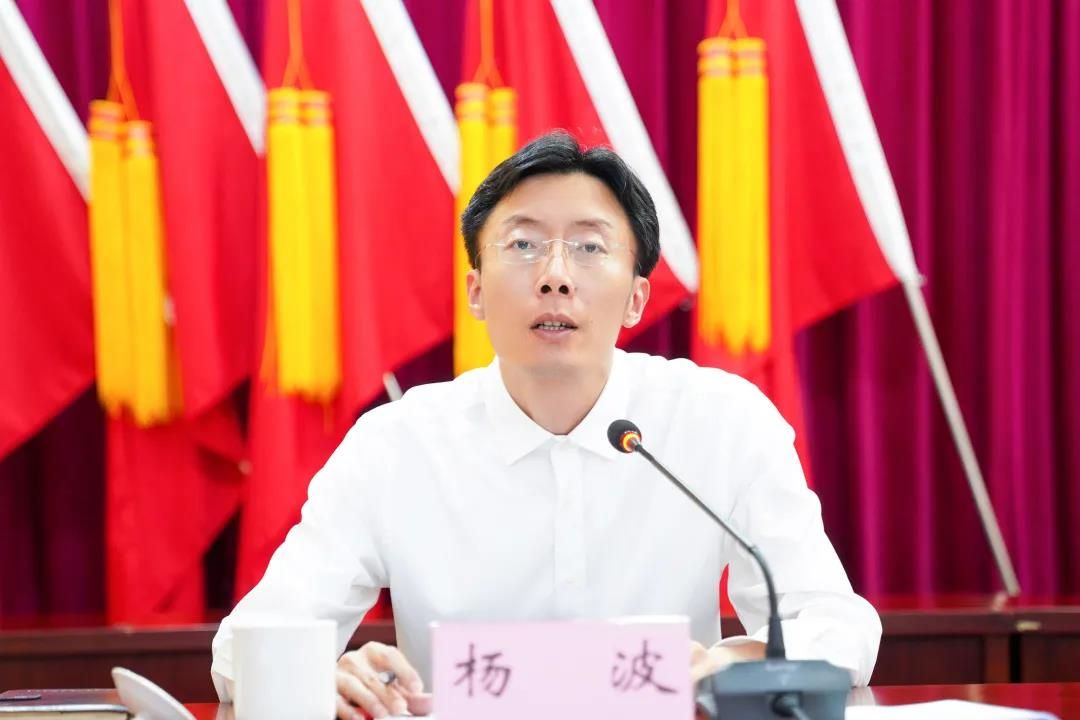 镇党委委员杨波部署全镇加强违法建设治理行动方案.
