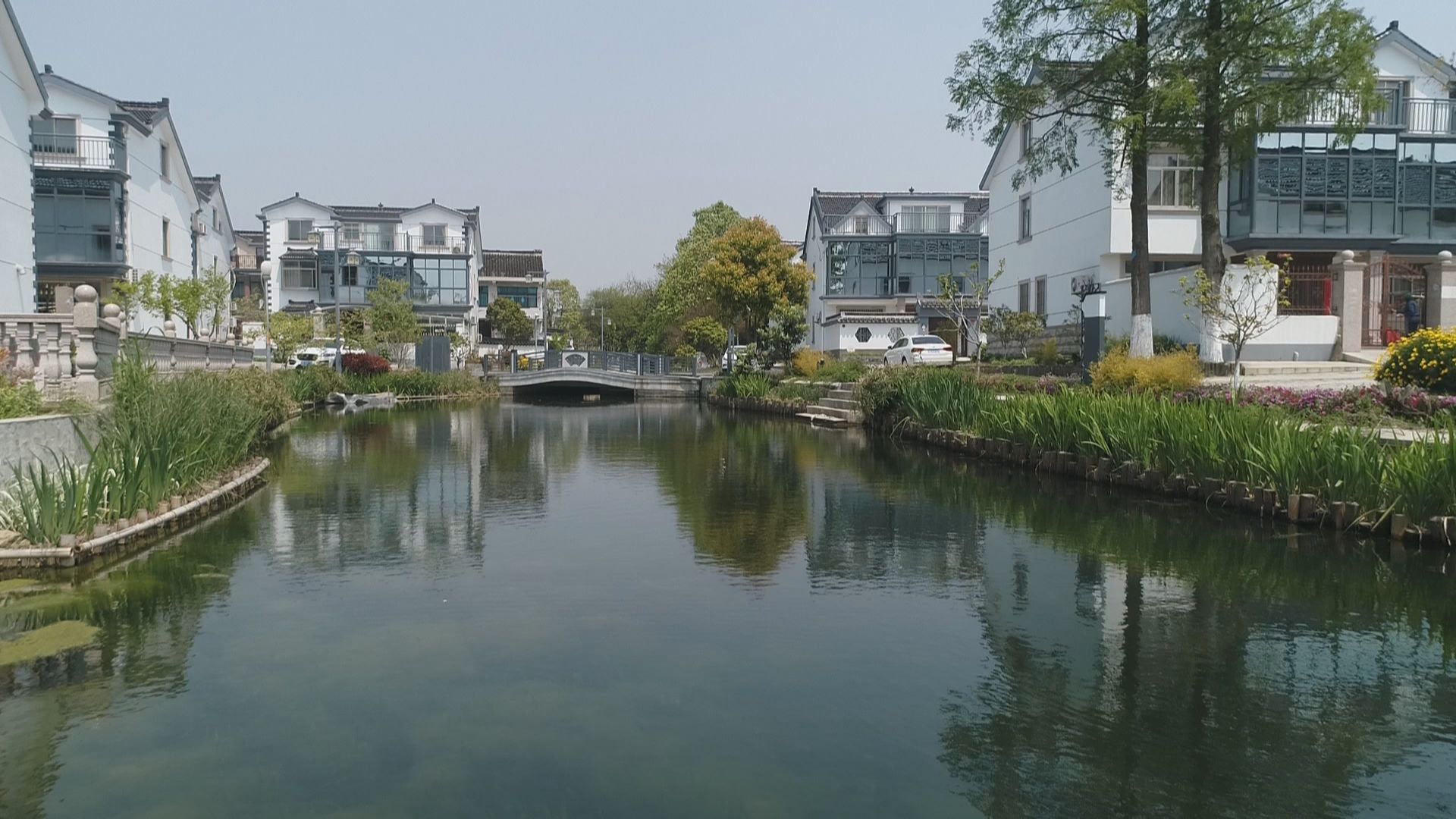 张浦镇金华村:"五彩之路"上的幸福生活