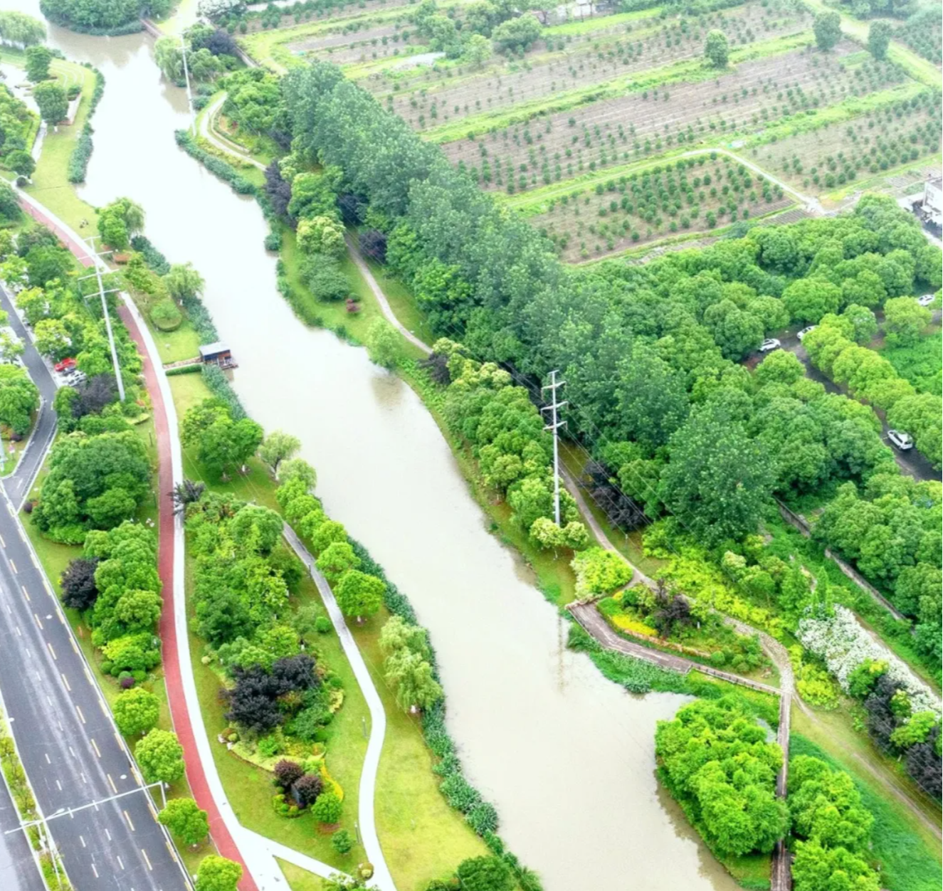 较于其他滨水岸线景王路滨水绿廊独特的亲水平台两岸相对的慢行步道让
