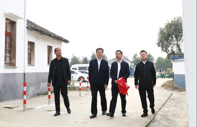 市领导方雪华赴锦溪镇挂钩村开展农村人居环境督查