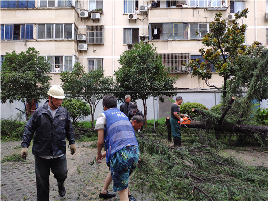 368AD5A401628B29626EC75208B48426.jpg 368AD5A401628B29626EC75208B48426.jpg