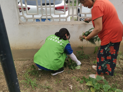 年丰社区3.jpg 年丰社区3.jpg