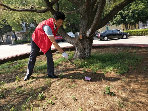 IMG_20190817_094252.jpg IMG_20190817_094252.jpg