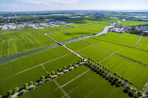 副本1.jpg 副本1.jpg